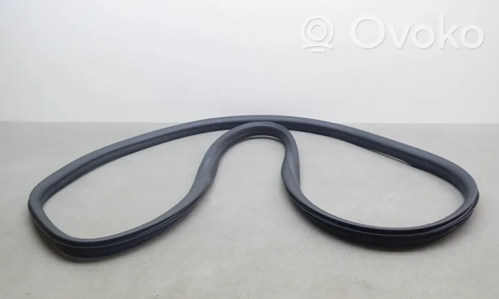 Volvo V60 Rubber seal rear door 895291