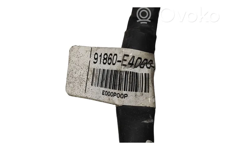 KIA Soul Negative earth cable (battery) 91860E4000