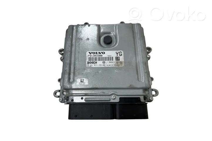 Volvo V70 Sterownik / Moduł ECU P31303388