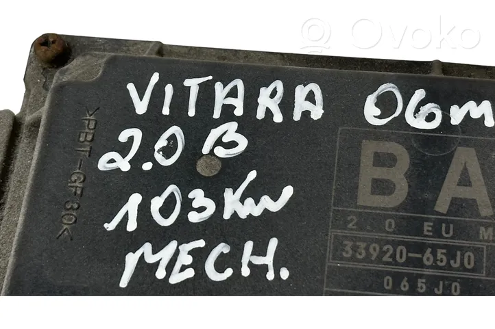 Suzuki Grand Vitara II Sterownik / Moduł ECU 3392065J0