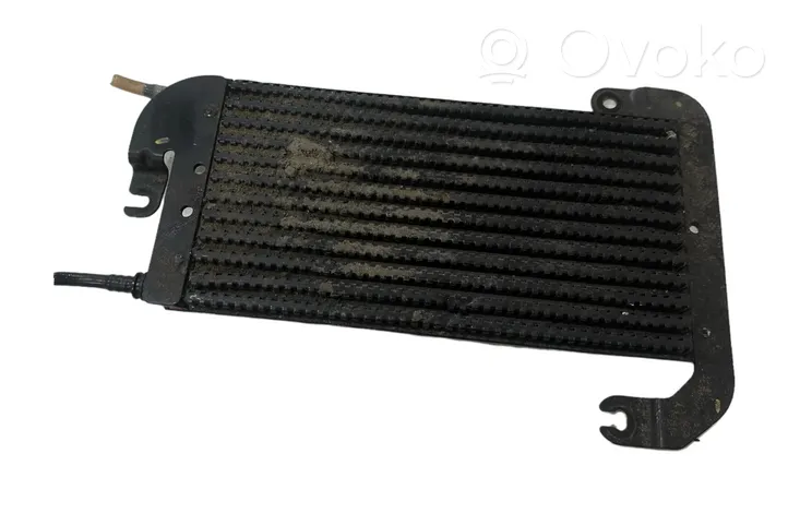 Opel Vivaro Fuel cooler (radiator) 175104049R