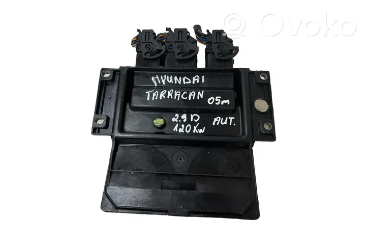 Hyundai Terracan Calculateur moteur ECU 391014X740