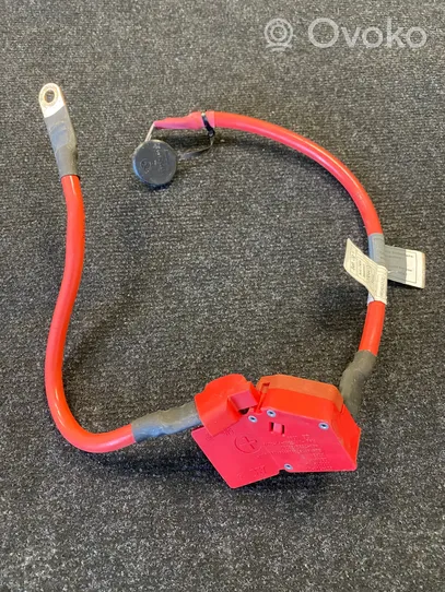 BMW 4 F32 F33 Cable positivo (batería) 6835243