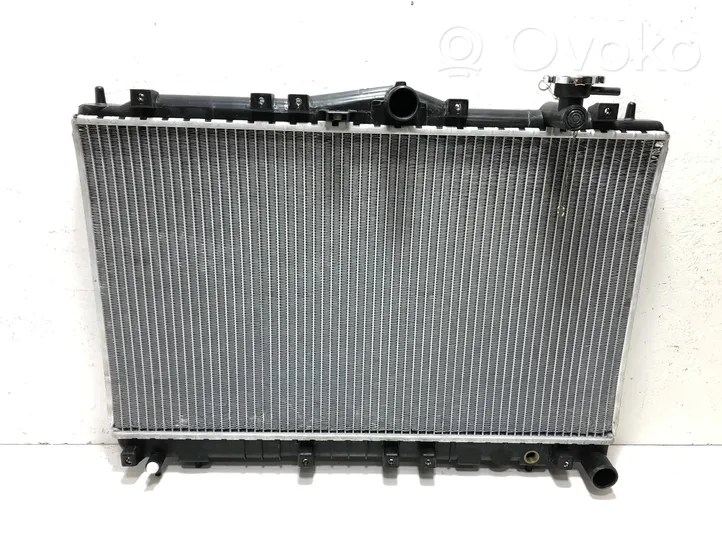 Hyundai Sonata Radiateur de refroidissement 2531033430