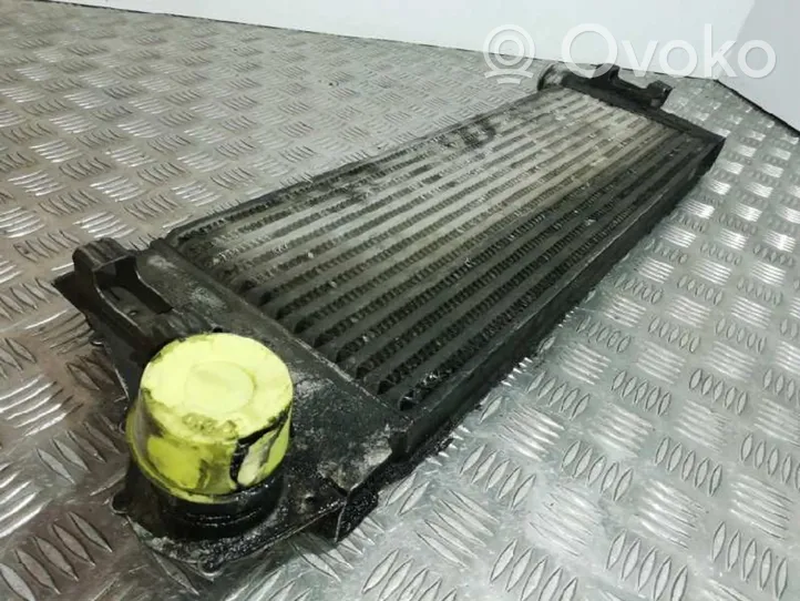 Renault Scenic RX Chłodnica powietrza doładowującego / Intercooler 820011540