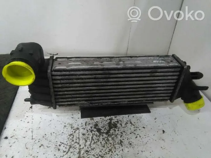 Citroen C8 Starpdzesētāja radiators 1489396080