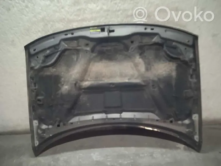 Jeep Grand Cherokee (WJ) Konepelti 55076470AE