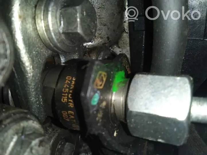 Renault Megane II Fuel injector 0445115007