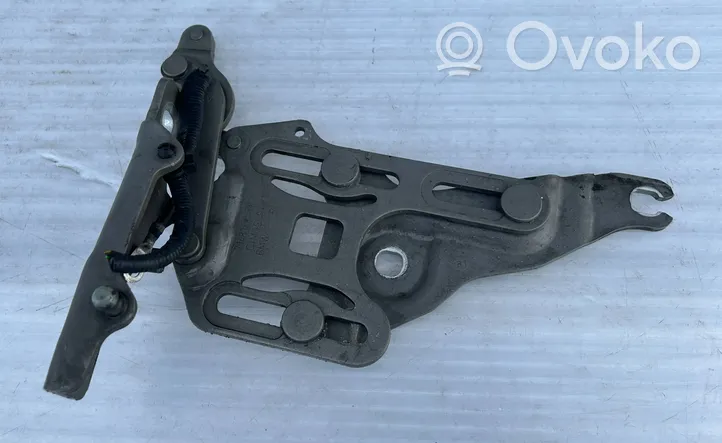 BMW X5 E70 Cerniere del vano motore/cofano 7148348