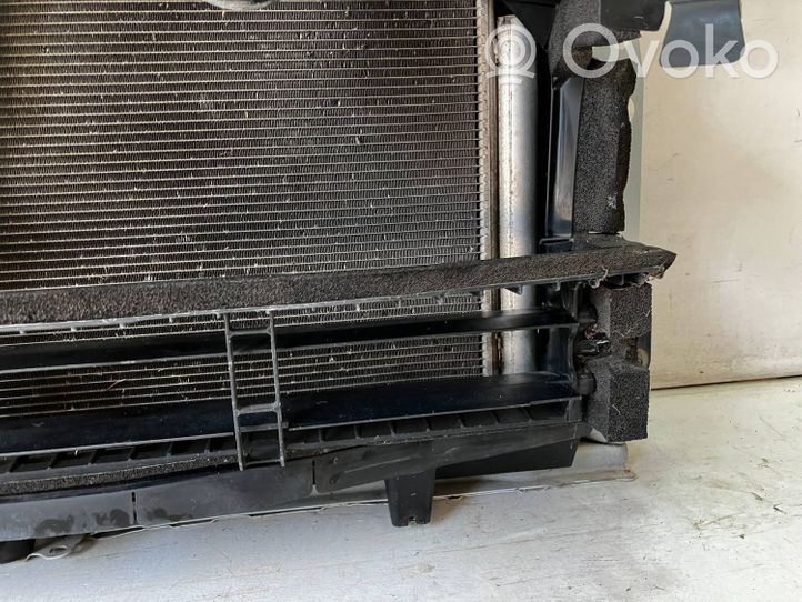 Toyota Prius (XW50) Coolant radiator 