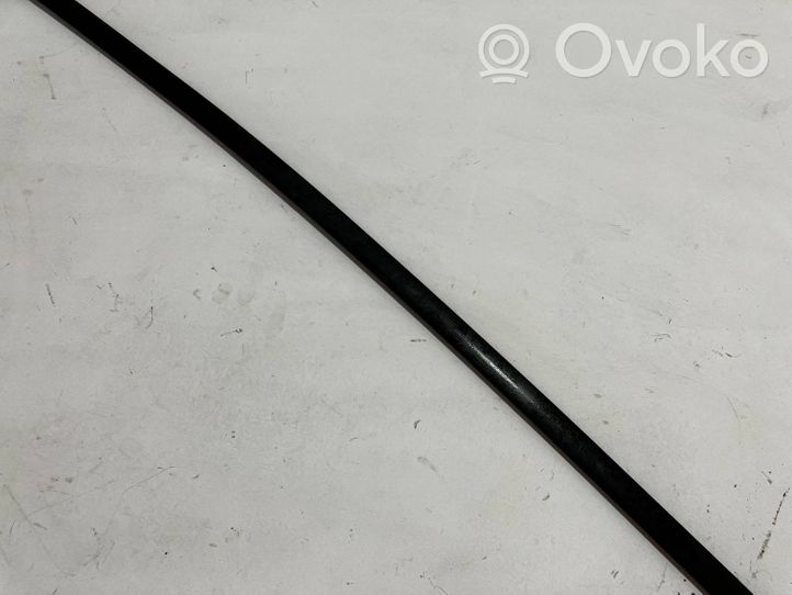 Toyota Prius (XW30) Roof trim bar molding cover 