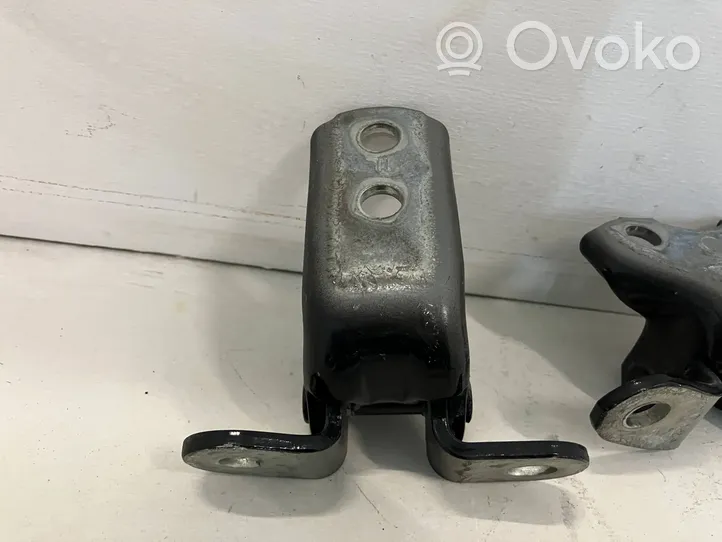 Toyota Prius+ (ZVW40) Front door hinge set 