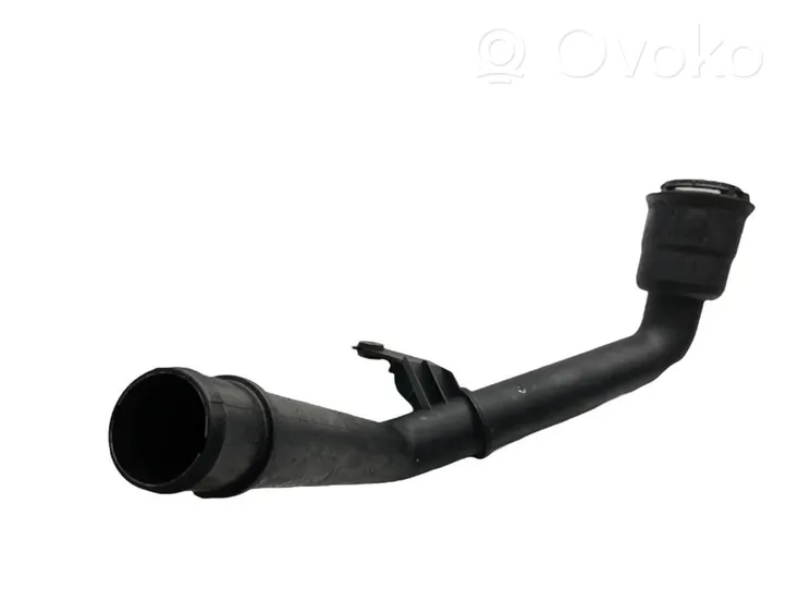 Nissan Qashqai Interkūlerio žarna (-os)/ vamzdelis (-iai) 300353521