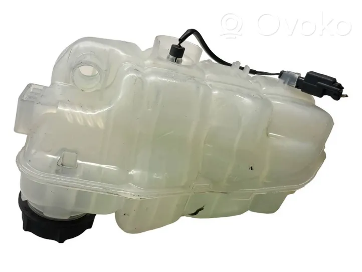 Volvo V40 Vase d'expansion / réservoir de liquide de refroidissement 31338764