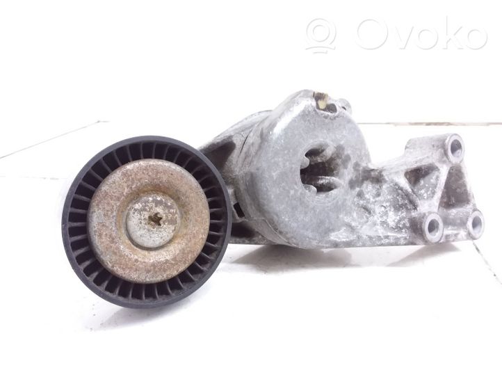 Audi A3 S3 8P Napinacz paska alternatora 06A903315F