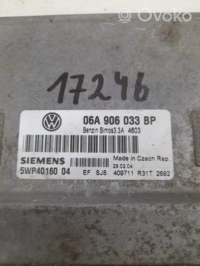 Volkswagen New Beetle Sterownik / Moduł ECU 06A906033BP