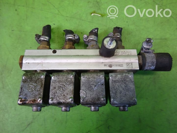 Renault Megane I LP gas injector 67R01973