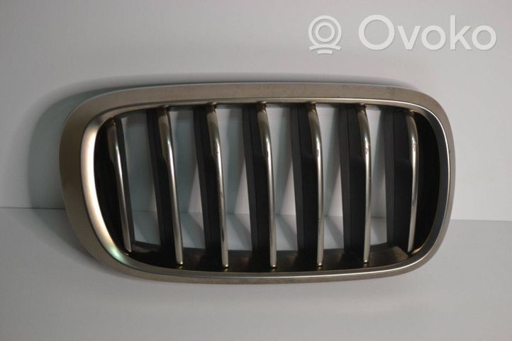 BMW X6 F16 Front grill 7349388