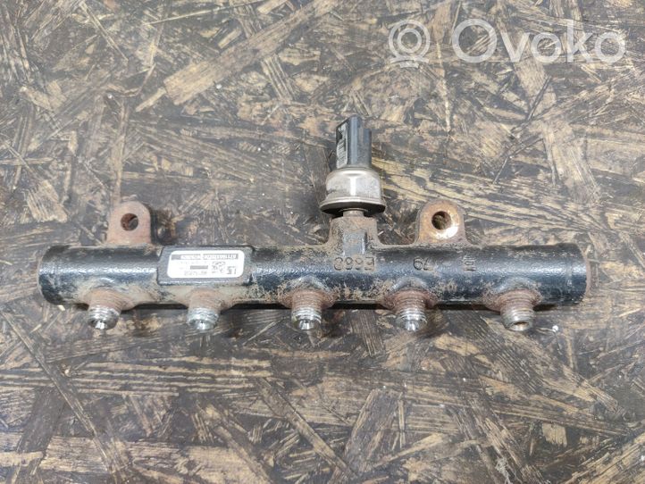 Ford Kuga I Kraftstoffverteiler Einspritzleiste Verteilerrohr 9681649580