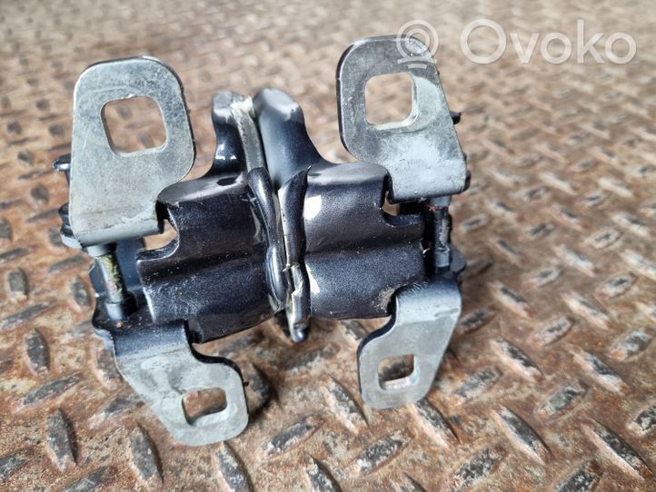 Dacia Duster Rear door hinge set 