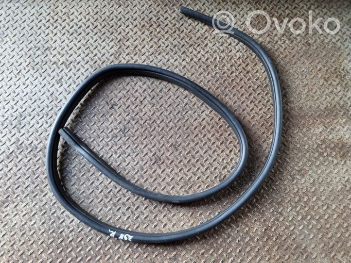 Ford Kuga II Rear door rubber seal (on body) 