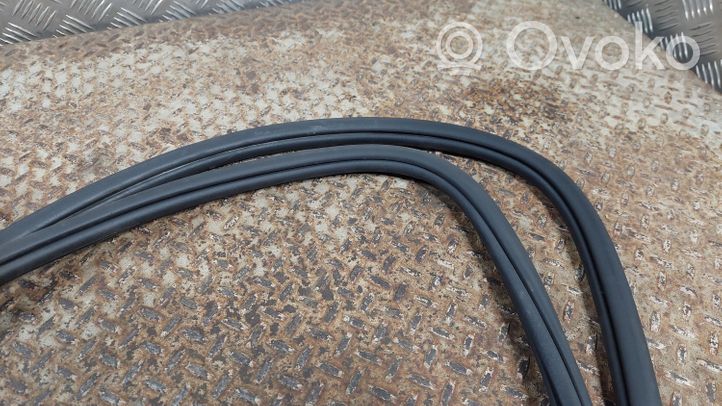 Volkswagen Tiguan Allspace Front door rubber seal 5NN867911