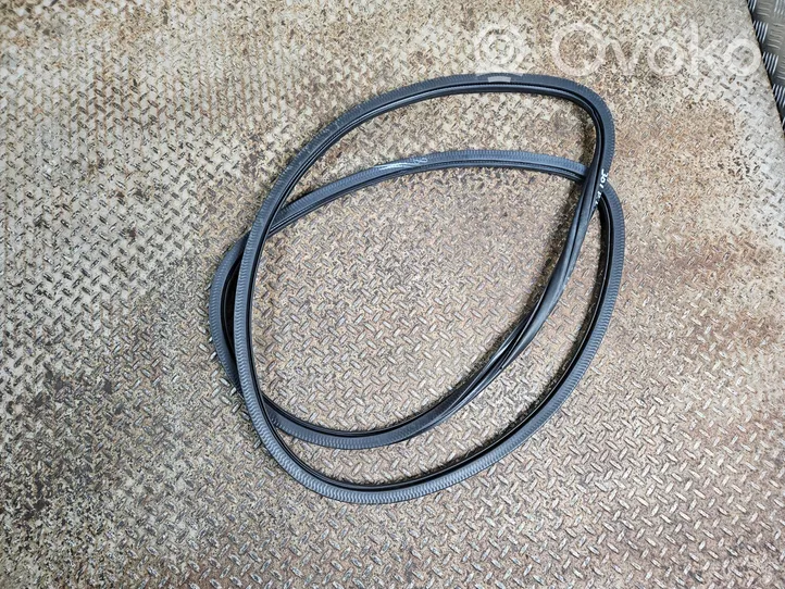 Volkswagen Tiguan Allspace Front door rubber seal 5NN867911