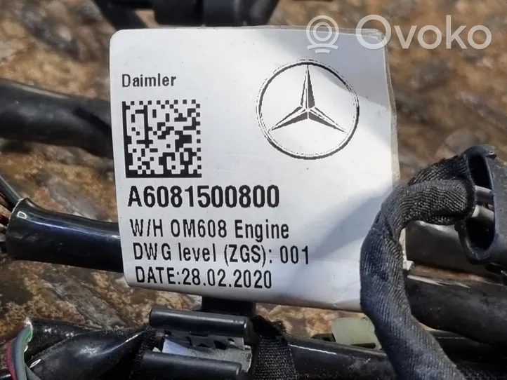 Mercedes-Benz A W177 Motorkabelbaum Leitungssatz A6081500800