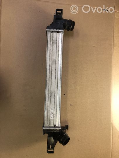 BMW X1 F48 F49 Starpdzesētāja radiators 1751761759706