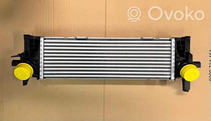 BMW X6 G06 Radiatore intercooler 17518584127