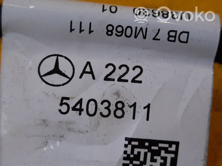 Mercedes-Benz S W222 Kabelbaum Leitungssatz Tür hinten A2225403811