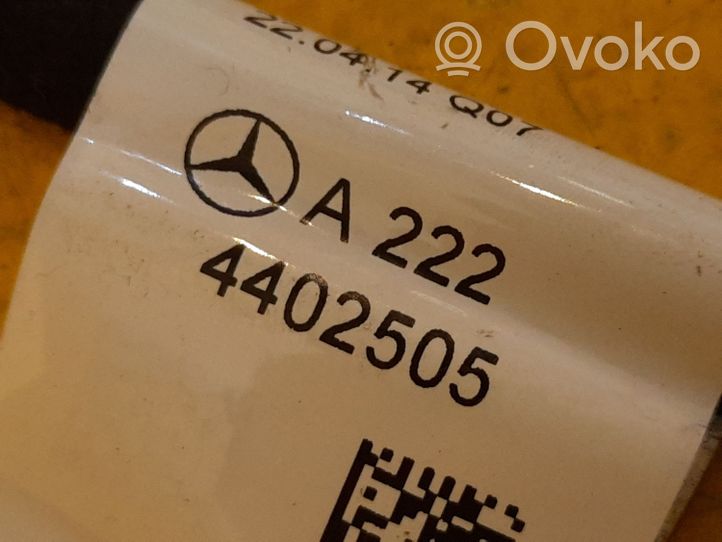 Mercedes-Benz S W222 Cablaggio/alloggiamento cablaggio della portiera anteriore A2224402505