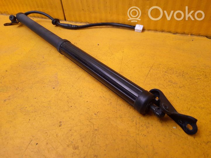 Toyota RAV 4 (XA50) Support de levage de hayon 6891042060