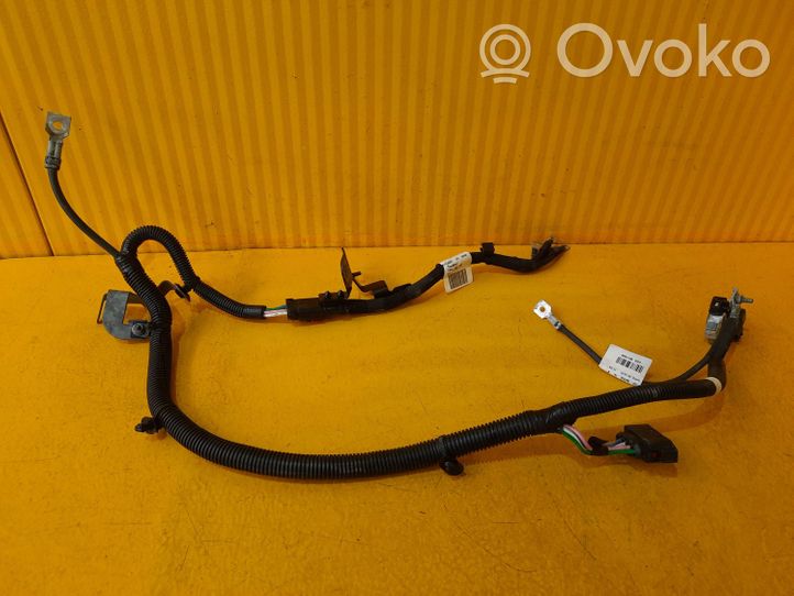 Renault Express Negative earth cable (battery) 240801106R