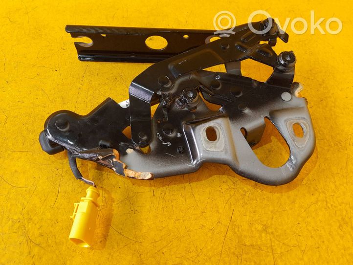 Volkswagen Touareg III Cerniere del vano motore/cofano 760823301F