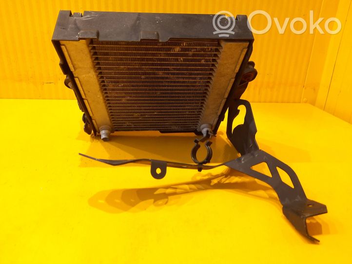 Mercedes-Benz A W176 Radiateur de refroidissement A1765000900