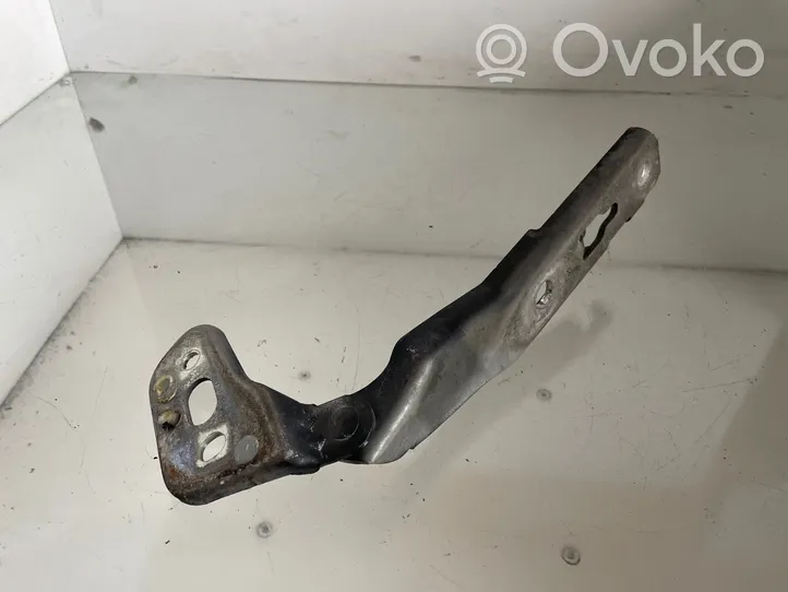 Audi A6 S6 C6 4F Cerniere del vano motore/cofano 4F0823301