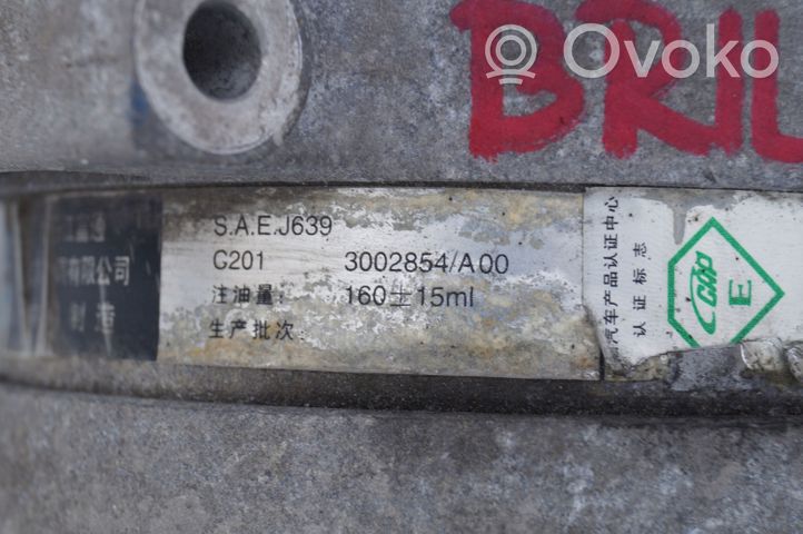 Brilliance BS6 Oro kondicionieriaus kompresorius (siurblys) 3002854A00