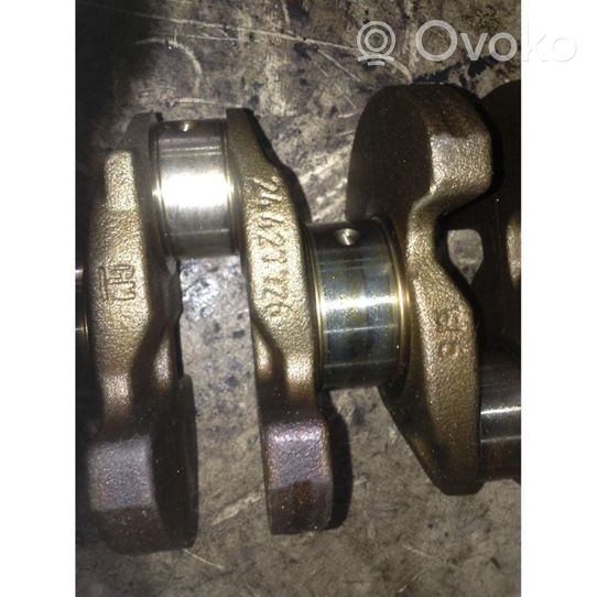 Fiat Stilo Crankshaft 