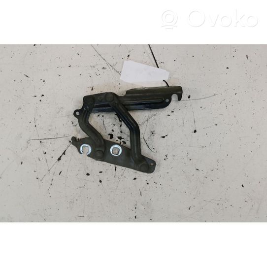 Ford Fiesta Engine bonnet/hood hinges 