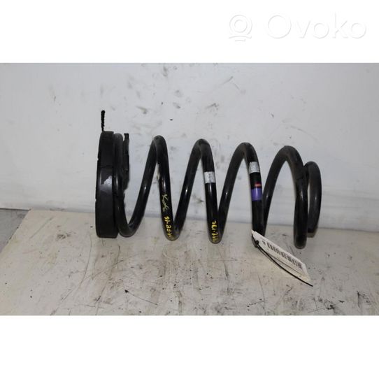 Hyundai Santa Fe Rear coil spring 