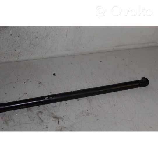 Opel Antara Rear window strut damper 