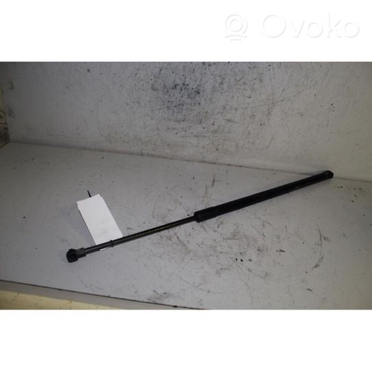 Opel Antara Rear window strut damper 