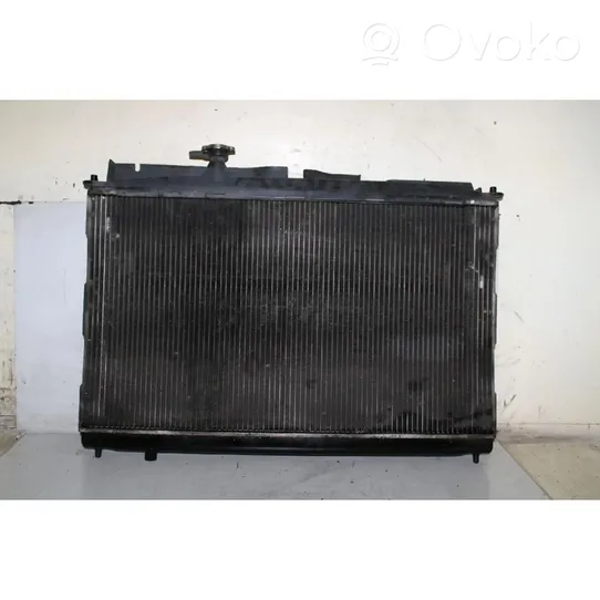 Hyundai Santa Fe Heater blower radiator 