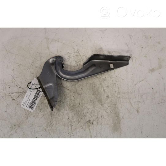 Peugeot 4007 Engine bonnet/hood hinges 