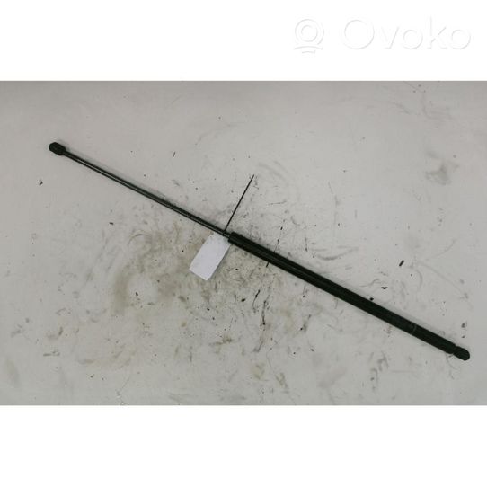 Fiat Doblo Rear window strut damper 