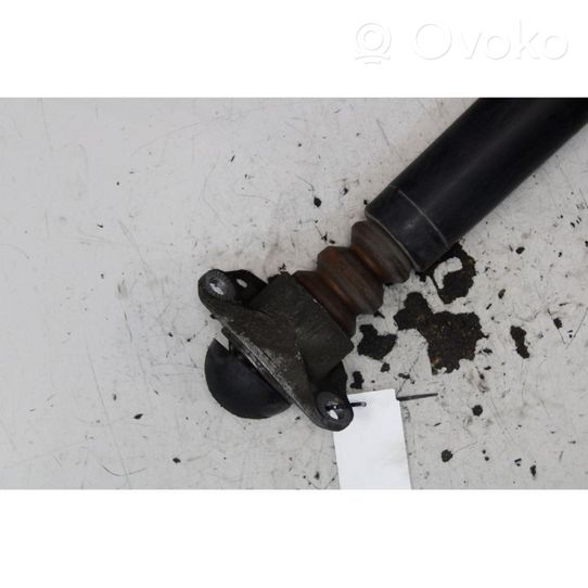 Audi A1 Rear shock absorber with coil spring 