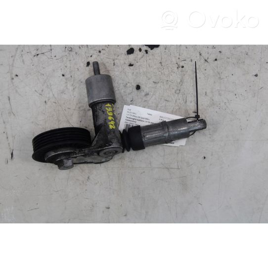 Audi A4 S4 B7 8E 8H Tendicinghia generatore/alternatore 