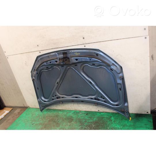 Volkswagen Polo IV 9N3 Engine bonnet/hood 