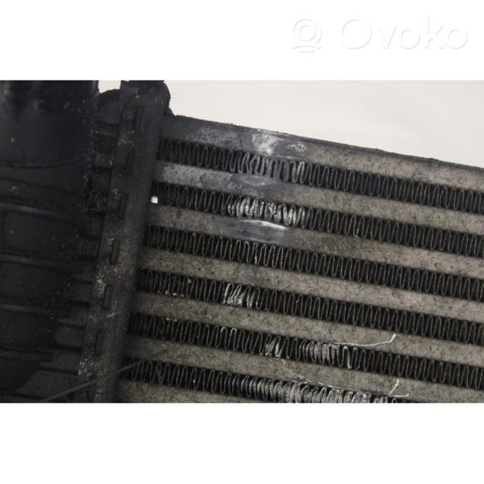 Renault Kangoo II Intercooler radiator 